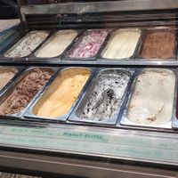  at VIE - The Lala / Veganista - T1-C in Vienna