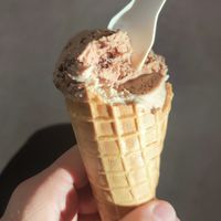  at VIE - The Lala / Veganista - T1-C in Vienna