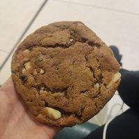 Love bite at VIE - The Lala / Veganista - T1-C in Vienna