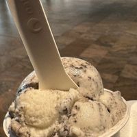   at VIE - The Lala / Veganista - T1-C in Vienna