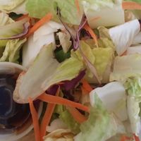 salad ZEN FORREST came with (frozen & reheated) General Tso tofu at Zen Forrest in New Port Richey