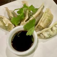 Veggie dim sum (steamed) at Zen Forrest in New Port Richey