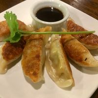 Veggie dim sum (fried) at Zen Forrest in New Port Richey