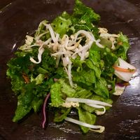 Black sesame salad at Zen Forrest in New Port Richey