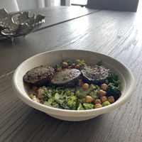 Falafel bowl  at Life Alive Organic Cafe in Cambridge