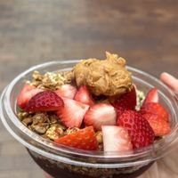   at Life Alive Organic Cafe in Cambridge