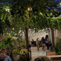 Cute atmosphere at Jardin in Madison