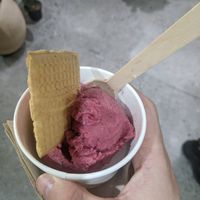 Sorbeto (7.000 COP) - 3/5 at Amor-Acuyá Gelato in Medellin