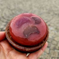 Rhubarb tartlet at Octopus in Brest