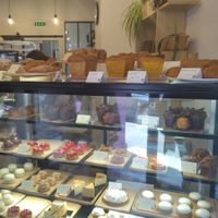 Vitrine at Octopus in Brest