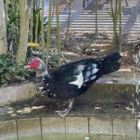 Enasma Cafe, Lake Agia  at Enasma Cafe in Crete