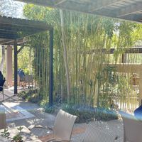 Enasma Cafe, Lake Agia  at Enasma Cafe in Crete