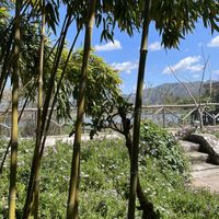 View from Enasma Cafe, Lake Agia  at Enasma Cafe in Crete