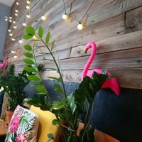 Great interior!  at Fukafe in Gdansk