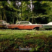 Cars on the farm. at Someday Farm Vegan Bed and Breakfast in Freeland
