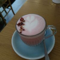Rose, cardamom and dragon fruit latte with coconut milk: pretty, but that's it. at Ground to Grow in Paris