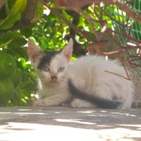  at Kiki Rebel Tours in Aegina