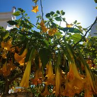  at Kiki Rebel Tours in Aegina