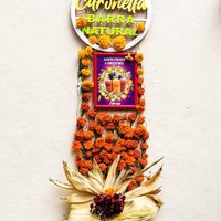   at Citronella in Oaxaca