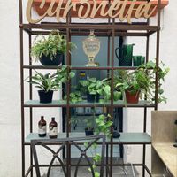  at Citronella in Oaxaca