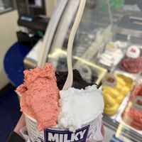   at Milky Gelato Shop in Rome