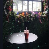 The sitting area   at Nana's Restaurant and Juice Bar in Tampa