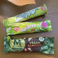 Ice cream selection   at Taxisgarten in Munich