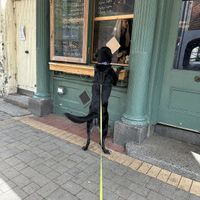   at Rocksalt in Dundalk