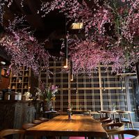   at Mido Sakura Vegan in Berlin