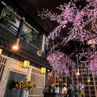   at Mido Sakura Vegan in Berlin