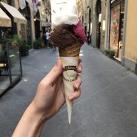 Vegan cone with lemon, pomegranate & chocolate at Perche No in Florence