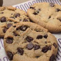 Vegan gluten-free chocolate chip at Insomnia Cookies in Tallahassee