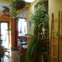  at Saveurs Nature in Perpignan