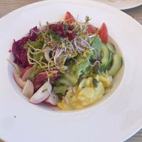   at Konzil in Konstanz