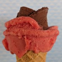 blood orange and organic chocolate at AMORINO in Crete