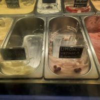  at Mersii Gelato in Piran