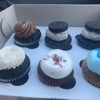 Box of vegan cupcakes   at Cupcake Paradise in Toronto