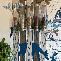 Interior   at Nuttea in Vancouver