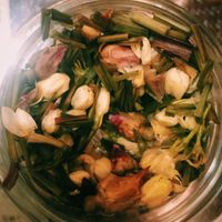 Tea at Gan Ye Zi Hotpot - Frankie's Kitchen in Shanghai