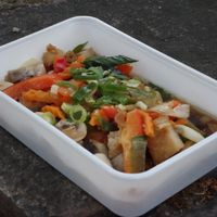 H10 Pad Khing (with ginger, carrots, celery, onion, leek, and red pepper) with tofu (vegan) at Noi's Thai Imbiss in Saarbrucken