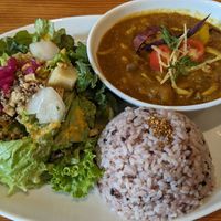 カレー at Alishan Park アリサンパーク in Tokyo