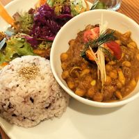 Curry at Alishan Park アリサンパーク in Tokyo
