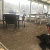   at Heather Farm Café in Woking