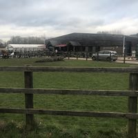   at Heather Farm Café in Woking