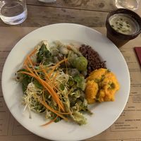  Découverte végétale  at LES BONS AMIS. Le Comptoir in Beziers