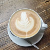 Oat milk latte  at The Butterfly Cabinet in Newcastle Upon Tyne