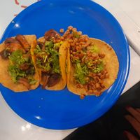 2 tacos de champiñones al ajillo y 1 de guacamole con maíz. at Taqueria De La Union in Merida