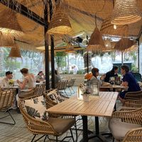 Vibe   at Bresca - San Antonio in Ibiza