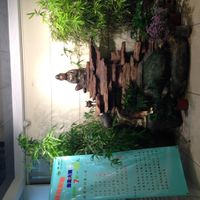 ... at Zhong Nong Jian Kang Jia Yuan in Kunming