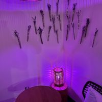 Cozy spot  at Life Alive Organic Cafe in Cambridge